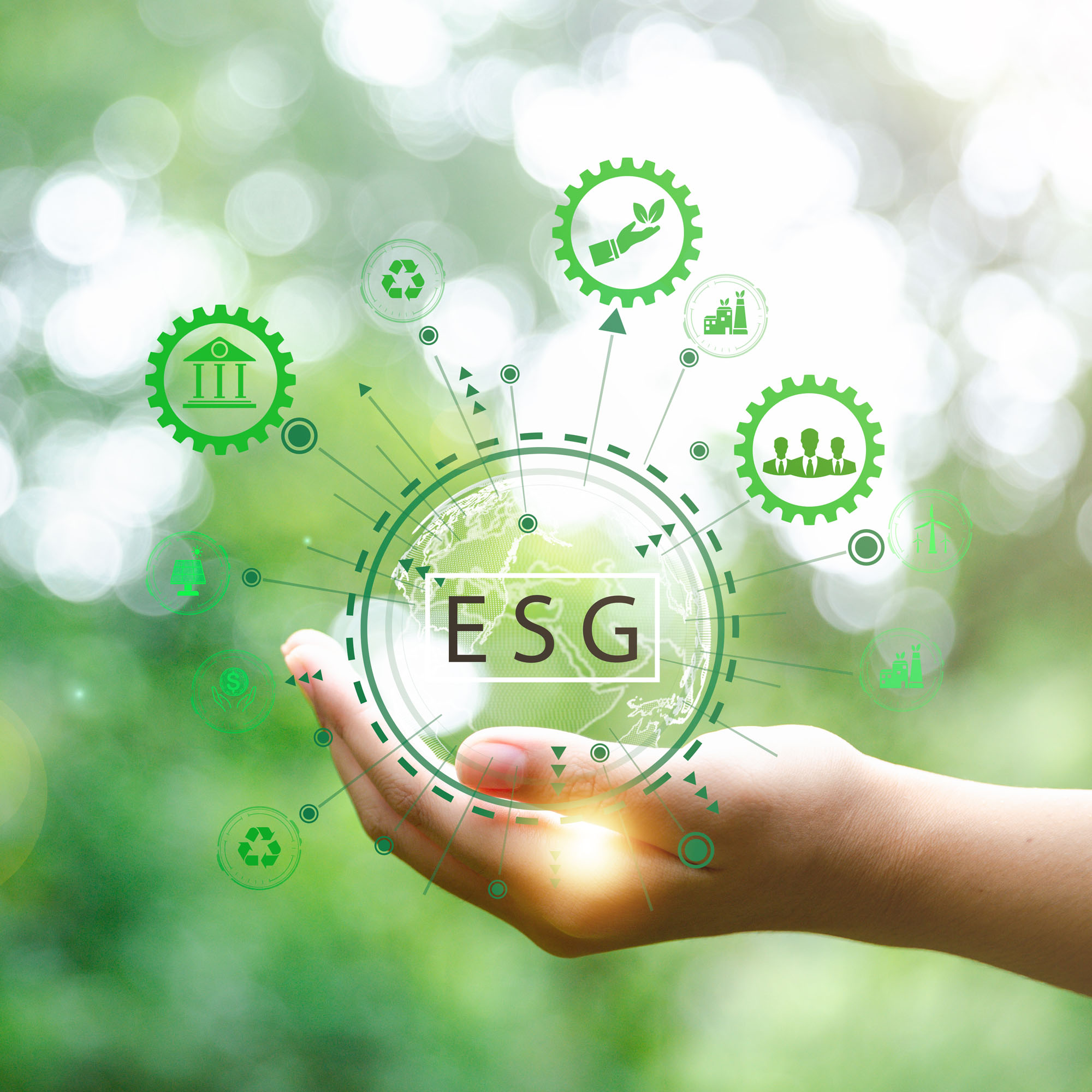 esg-principles-and-standards