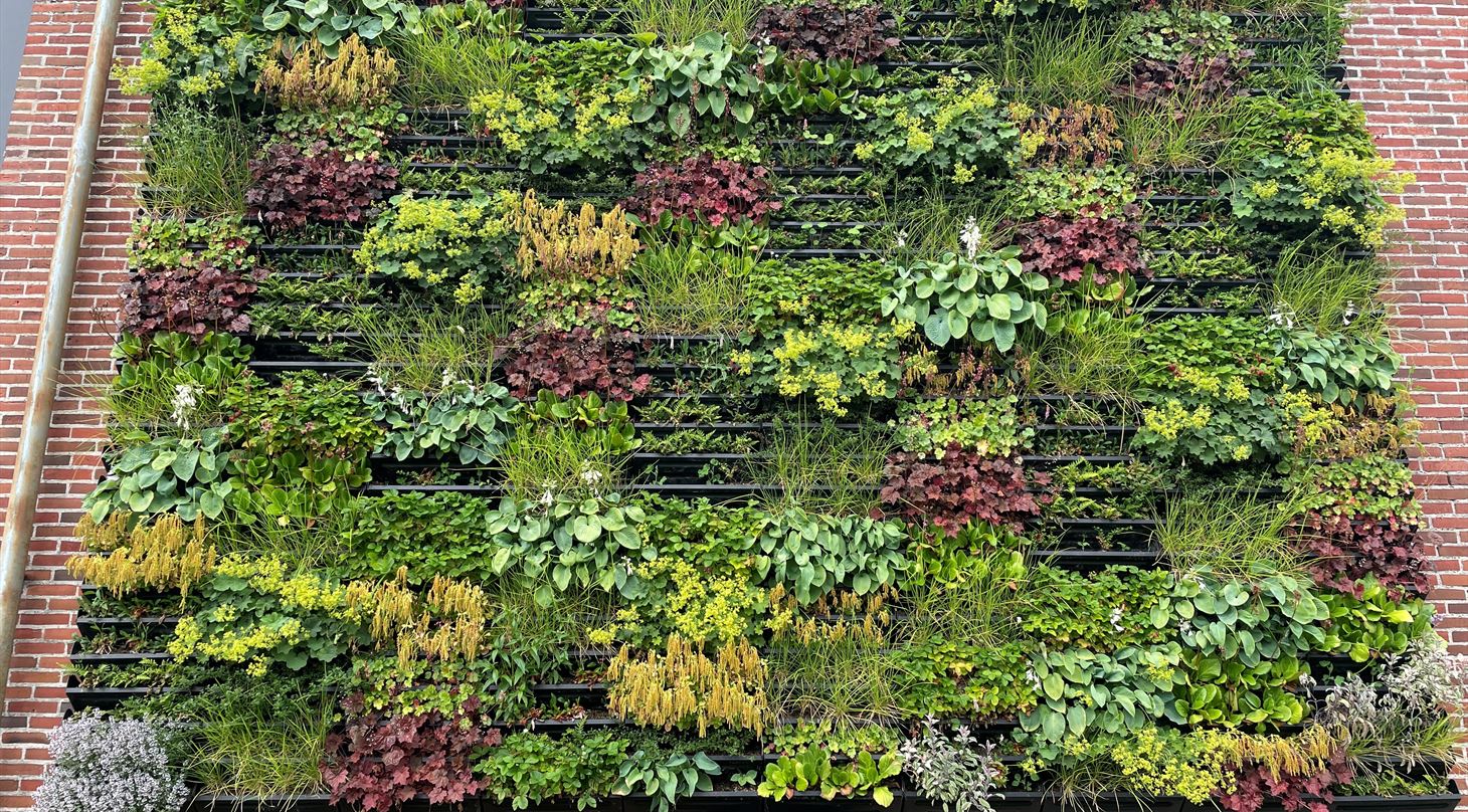 Nordic Green Climate Wall -
