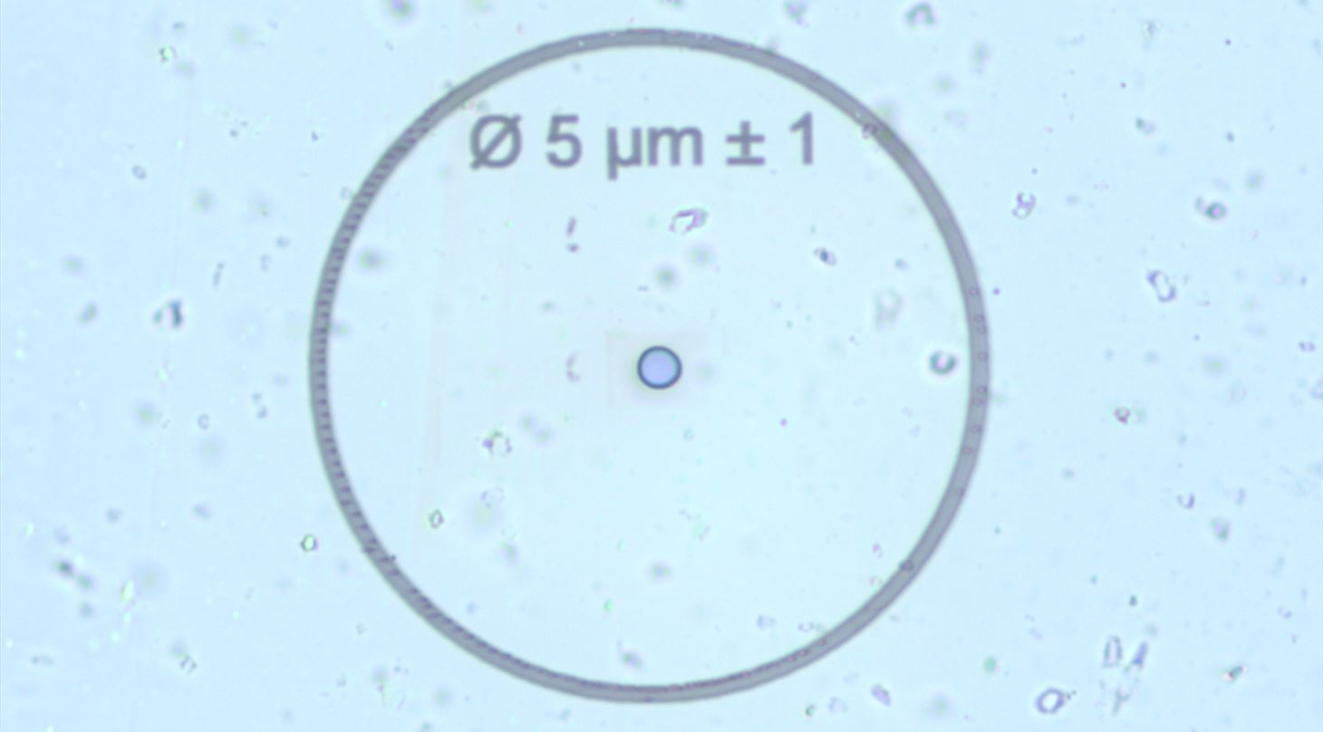 Lysmikroskopbillede af et 5m pinhole fremstillet i tynd plastikfolie.